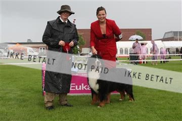 130370_le_02_IMG_8721.JPG