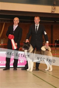 124188 _tl_02_IMG_9752.JPG