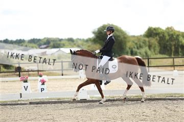 181894_mtp_02_R62_1582.JPG