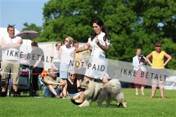 181564_rin_02_R62_3735.JPG