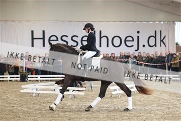 174363_kbb_01_R6II8010.JPG