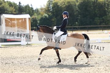 181894_mtp_02_R62_1506.JPG