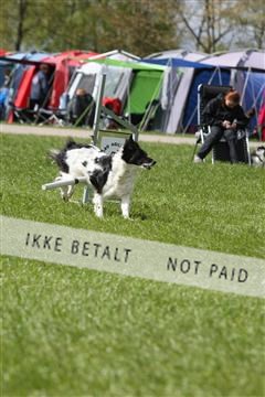 134871_ms_04_IMG_0048.JPG