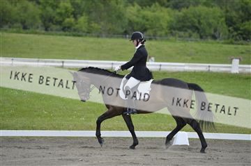 140040_abo_01__AB16939.JPG
