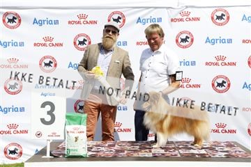 181564_kar_01__62_7042.JPG