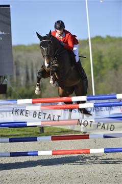 139644_abo_02__AB14814.JPG