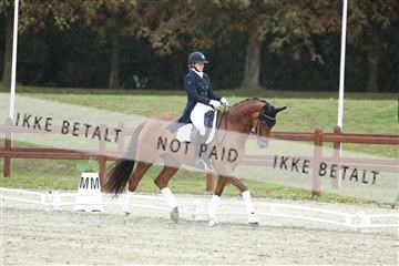 181923_mtp_04_R62_8954.JPG