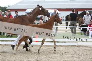 125406_sc_01_IMG_2200.jpg