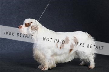 132082_le_ 01_IMG_1004.JPG