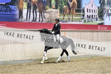 182241_kbb_01_Z093858.JPG