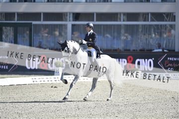 169586_kuo_06__D4S2556.JPG