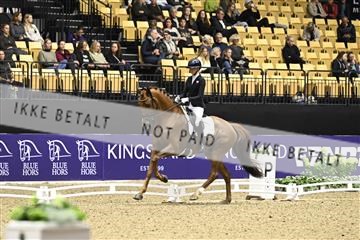 182194_kbb_03_Z090852.JPG