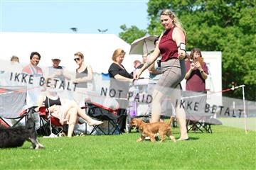 181564_rin_02_R62_2928.JPG
