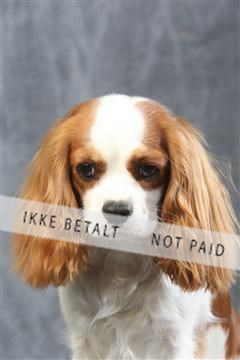 129608_le_ 01_0477.JPG