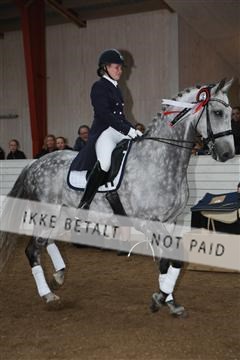 139835_sg_03_IMG_9233.JPG