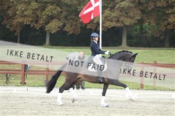 181923_mtp_04_R62_8970.JPG