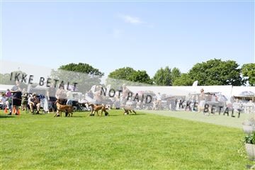 181564_kar_01__62_7740.JPG