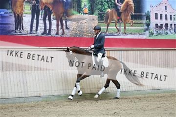 181887_mtp_04_R62_8447.JPG