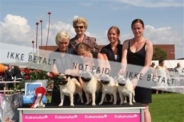 130370_se_03_IMG_7639.JPG