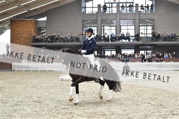 162310_abo_01__D052475.JPG