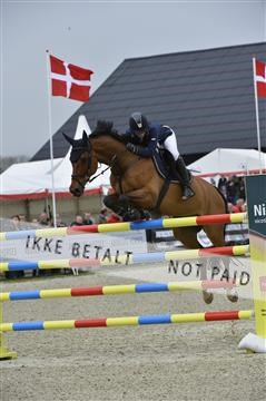 139644_abo_06__AB10094.JPG