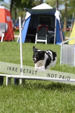 134871_ms_04_IMG_0053.JPG