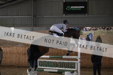 139206_kl_1_8M1Q5207.JPG