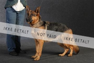 132082_le_ 01_IMG_0911.JPG