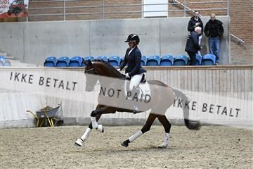 182241_kbb_01_Z095202.JPG