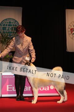 126827_tl_02_IMG_2837.JPG