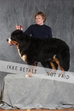 130054_le_ 03_0302.JPG