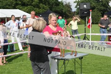 130370_se_02_IMG_6625.JPG