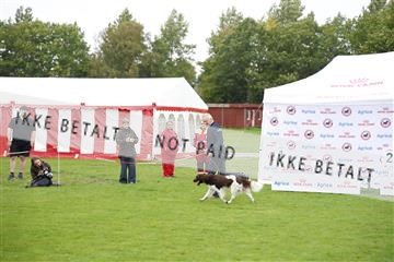 182009_kar_01__62_6250.JPG