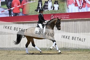 182241_kbb_01_Z092987.JPG