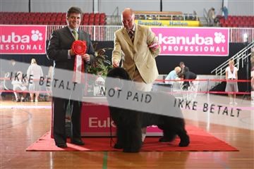 6068_ma_05_IMG_6142.JPG