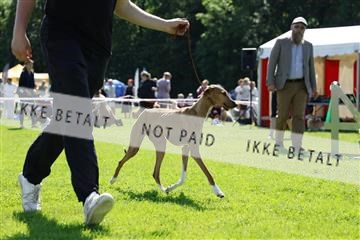 181564_kar_01__62_8040.JPG