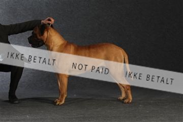 132082_le_ 01_IMG_1599.JPG