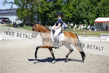 181449_kbb_01_6II9251.JPG