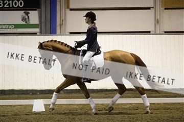 141472_abo_01__AB14898.JPG