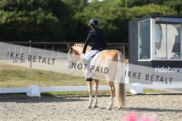 181894_mtp_05_R62_4815.JPG