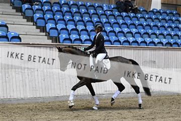 182241_kbb_01_Z094604.JPG
