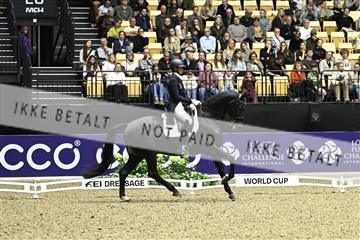 182194_kbb_03_Z092569.JPG