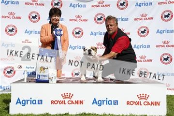 181564_ch_01__62_0182.JPG
