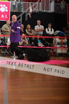 6068_ma_07_IMG_6872.JPG