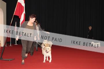 126827_tl_02_IMG_2805.JPG