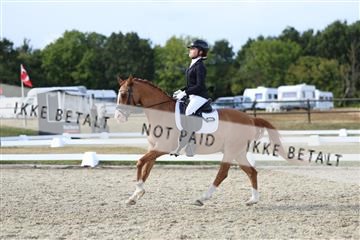 181894_mtp_05_R62_5038.JPG