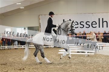 174363_kbb_01_R6II8820.JPG