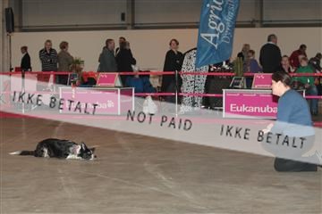 133496_tl_01_IMG_1760.JPG