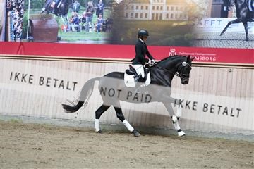 181887_mtp_02_R62_7644.JPG