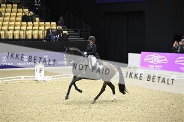 182194_kbb_02_Z098793.JPG